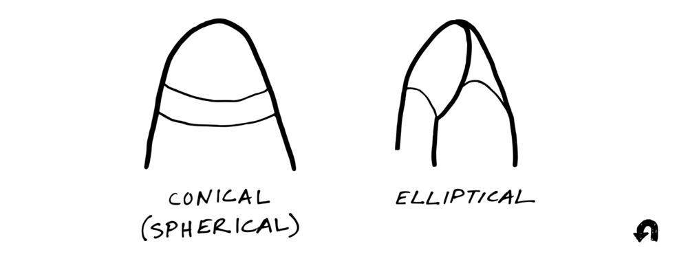 Diagram showing the difference between a conical and elliptical stylus